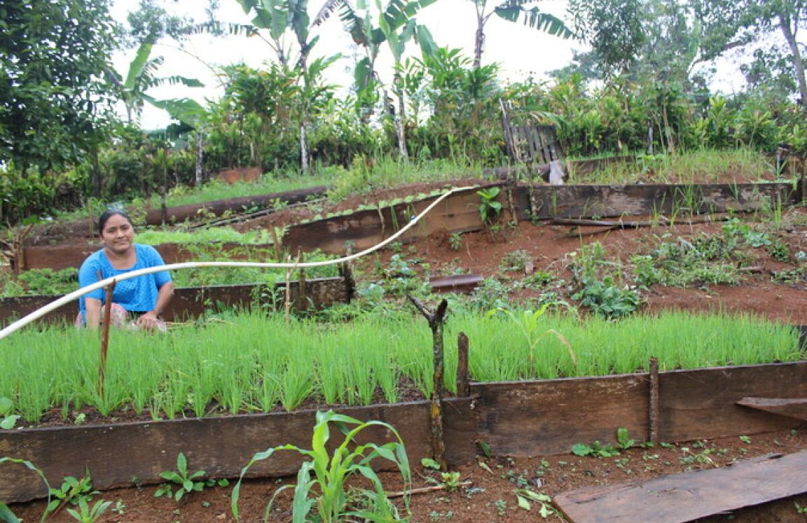 Hilda show the vegetable garden