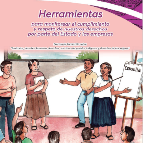 herramientas para monitorear el cumplimiento y respeto de nuestros derechos por parte del estado y las empresas